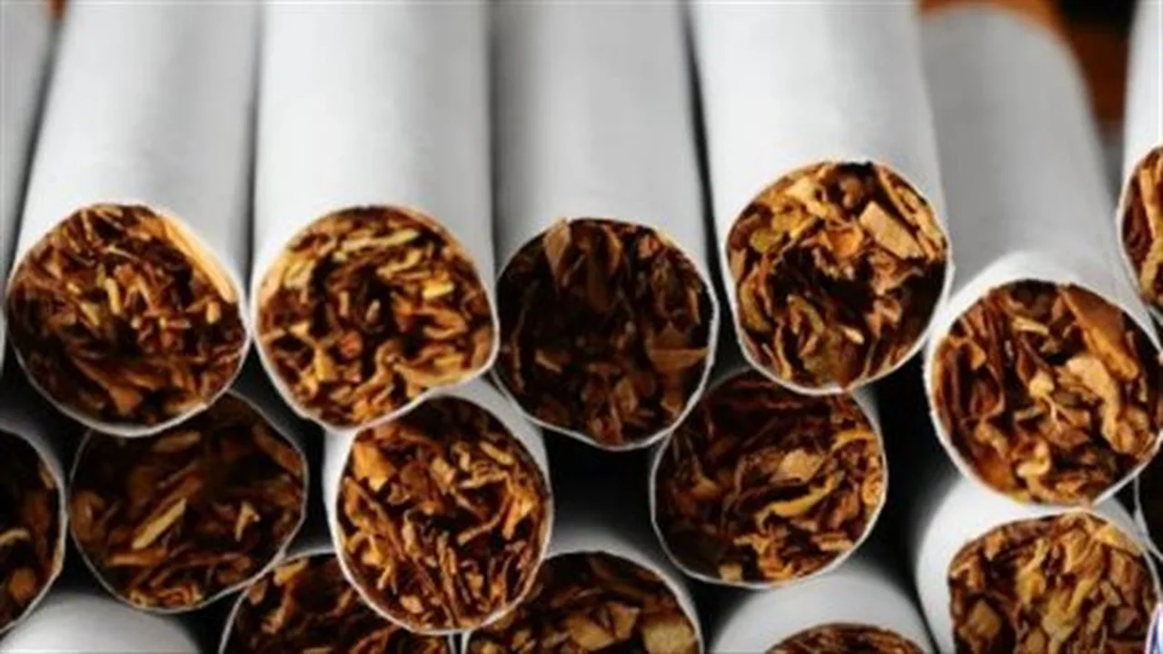 أزمة السجائر المهربة.. إبراهيم إمبابي يكشف تأثير تكلفة الفرصة البديلة على المستثمرين ونشاط السوق